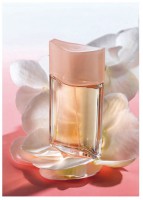 Soft Musk - Eau de Toilette (50 ml)